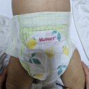 아기 기저귀 유목민..13종 사용후기 /알프레리, 슈퍼대디, 킨도 ,하기스썸머 ,쿠잉, 보솜이, 페넬로페...