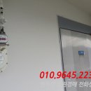 도남로 이미지