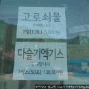 거북이민박 이미지