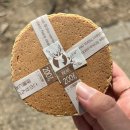 가까운약국 | 일본 오사카 나라공원 사슴 물림 사고 | 실제로 물려본 후기 및 대처 방법 가까운 약국 위치