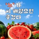 이디야을지로