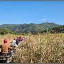 압수나루터농촌체험휴양마을 이미지