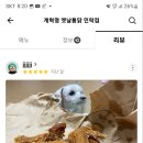 계혁명치킨 - 고양시 덕양구 | 계혁명치킨
