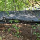 그늘막73 이미지