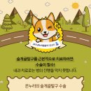 온누리 종합 동물병원 이미지