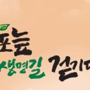 우포늪생명길 이미지