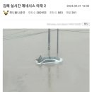 폭우가 쏟아진 김해 (p.s잡상인 출입금지) 이미지