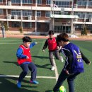 청도태권도 이미지