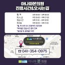 아나파본의원 이미지