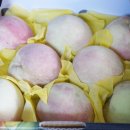 복중농장 이미지