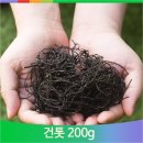 해조 이미지