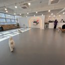 먹고놀개 이미지