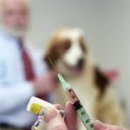 동우약국 이미지