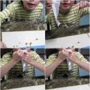 (주)보람씨앤에치 이미지