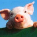 카페 티타임 이미지