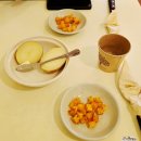 대항면보건지소 화장실 | 수유 일본식카레 맛집 코노하카레 또간집! 우이천 벚꽃 맛집 발견!