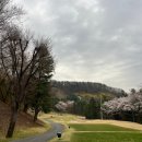 골드골프클럽 | 경기도 용인 골드CC 3부 야간 라운드 후기