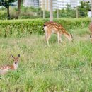 지형놀이공원 이미지