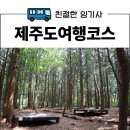 제주도여행코스 아랑조을거리와 서귀포자연휴양림 직접 둘러본 후기