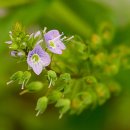 아름다운날 이미지