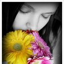 아도니스 이미지