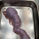 24시 청주이음동물의료센터 이미지