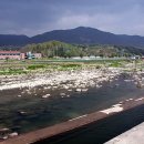 안의식당 이미지