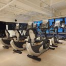 레디 바디 이미지