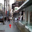 카페가로수 이미지