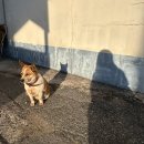 서산로 | 목포 횟집 송어회 밴댕이회 목포항 맛집 만선식당