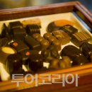 홀릭투어 이미지