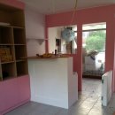 핑코애견 이미지