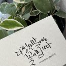 감성 붓펜 캘리그라피 이미지