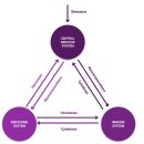 아이사랑동물약국 이미지