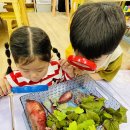 고구마순을 관찰하고 심어봐요/환경교육!!장자호수 지구지킴이 캠페인-지구를 지켜주세요!![어린이집간 연계 놀이]/미로놀이 Part 1 이미지