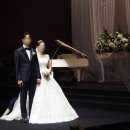 B05 | B05. 플로라바이시아, 웨딩홀에서 부케 후기