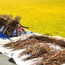 대흥경로당 이미지