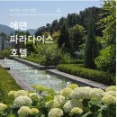 아이랑 이천 여행 에덴파라다이스호텔 조식, 테르메덴 수영장 패키지