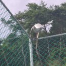 상진생활체육공원 이미지