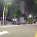 은행나무하우스낚시터 이미지