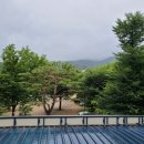 카페빵선생과천점 네이버블로그
