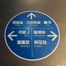 사이언스어린이집 | 🏆 대전 아쿠아리움 내돈내산 후기🐠 평일 방문 꿀팁부터 주차. 피딩쇼. 수중발레까지!