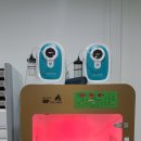 호텔펫코리아 이미지