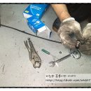 뉴현대카클리닉 이미지