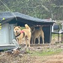 자은의 언덕 이미지