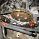 애니카랜드 화원점 이미지