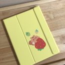 [잡화] 랩씨 아이패드 마카롱 케이스 리뷰 (LabC macaron case)