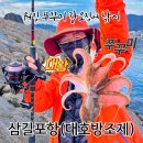 (워킹 갑오징어 낚시) 대왕 쭈꾸미와 함께한 삼길포 대호방조제