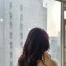 준호헤어살롱 이미지