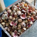 태광회수산 이미지